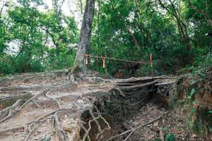 BIB: 
                            <button type="button" onclick="openModal(27722588)" class="btn btn-primary btn-sm float-right btn-popup" data-toggle="modal" data-target=".modal-high-quality">
                        <i class="fas fa-shopping-cart"></i> Add to Cart
                    </button>
                                            <button type="button" onclick="isThisMe(27722588, true)" class="btn btn-success btn-sm float-right btn-popup btn-isme hidden" data-toggle="tooltip" data-placement="bottom" title="นี่คือรูปของคุณใช่ไหม คลิกที่นี่เพื่อเอาเข้าอัลบั้ม">
                        <i class="fas fa-plus"></i> Add to album
                    </button>
                    <button type="button" onclick="isThisMe(27722588, false)" class="btn btn-warning btn-sm float-right btn-popup btn-isnotme hidden">
                        <i class="fas fa-ban"></i> Remove from album
                    </button>